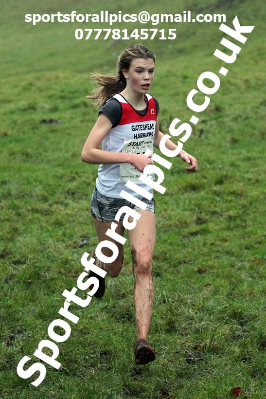 Girls under-15s, NECAA Junior Cross Country Relays, Thornley Farm, Peterlee, Saturday, December 12th. Photo: David T. Hewitson/Sports for All Pics